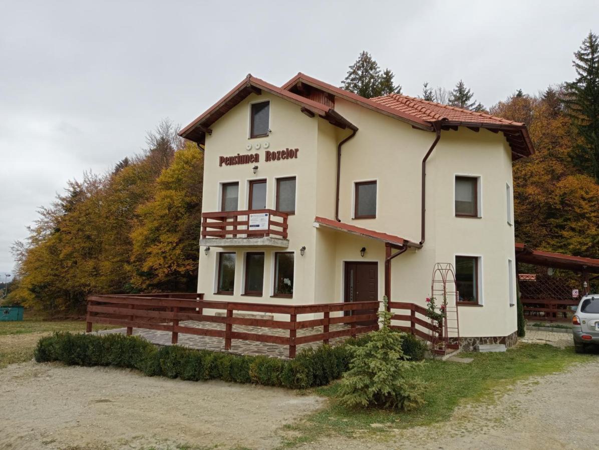 Pensiunea Rozelor Statiunea Climaterica Sambata Sîmbăta de Sus Kültér fotó
