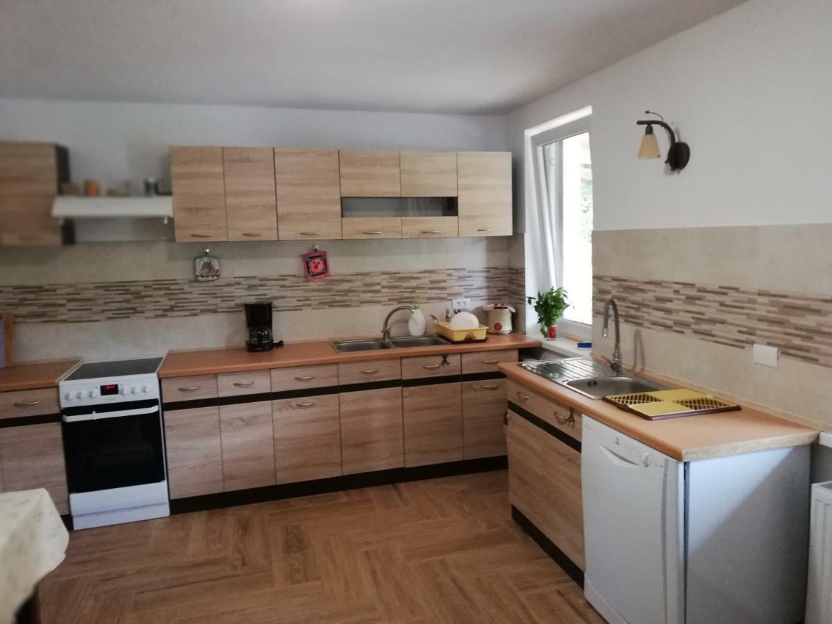 Pensiunea Rozelor Statiunea Climaterica Sambata Sîmbăta de Sus Kültér fotó